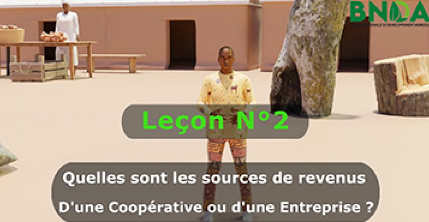 Leçon 2 : Quelles sont les sources de revenus D’une Coopérative ou d’une Entreprise ?