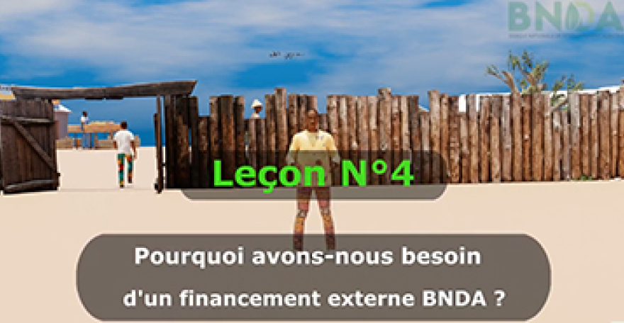 Leçon 4 : Pourquoi avons-nous bésoin d’un financement externe?